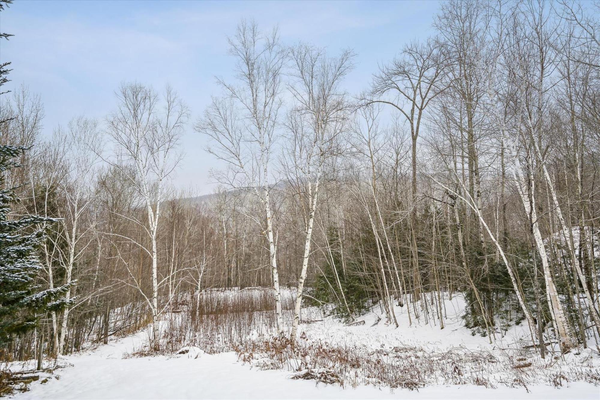 Spacious Northbrook 3 Townhouse Only 2 Miles From Restaurants & Nightlife Killington Esterno foto